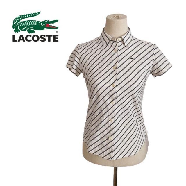 LACOSTE(ラコステ)のLACOSTE ラコステ　ポロシャツ　白　グレー　ストライプ　麻混　半袖　38 レディースのトップス(ポロシャツ)の商品写真