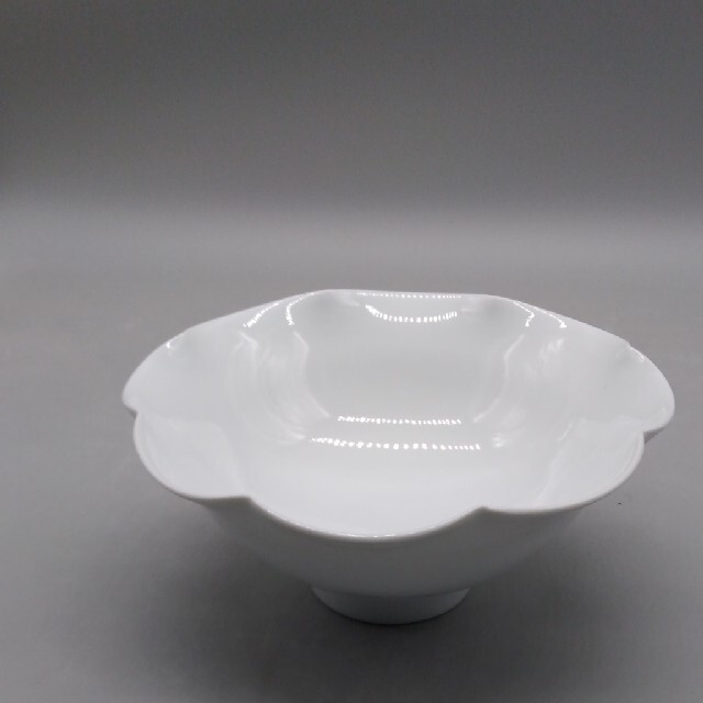 波佐見焼 春右衛門 白磁輪花鉢 HuirS7I26w, 食器 - aayushienterprises.com 【楽天最安値に挑戦】 波佐見焼春右衛門窯 白磁たか高台鉢 2個セット 食器