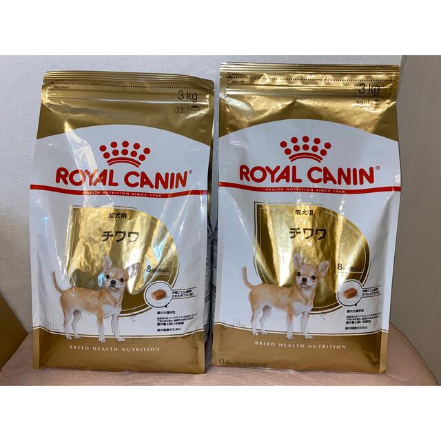 ロイヤルカナン チワワ 成犬用 3kg　3袋セット 未開封新品