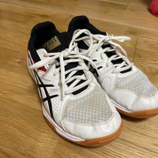 アシックス(asics)のasics室内シューズ25.0(スニーカー)