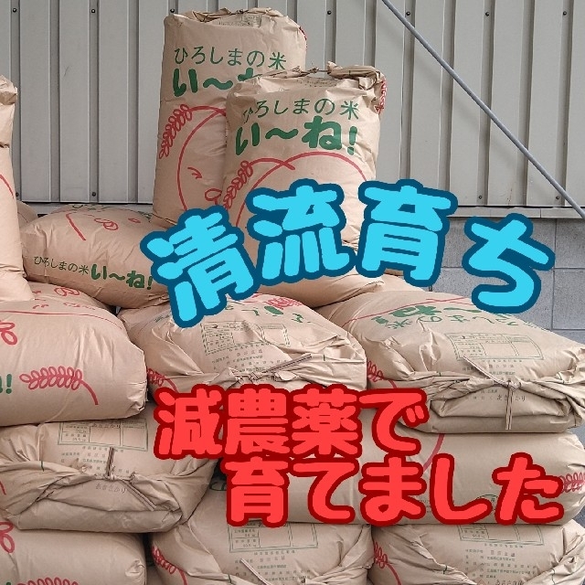 清流育ち 山里米 白米27kg(令和3年産) - 米/穀物
