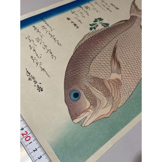 版画広重　木版画　魚づくし　タイ　復刻版