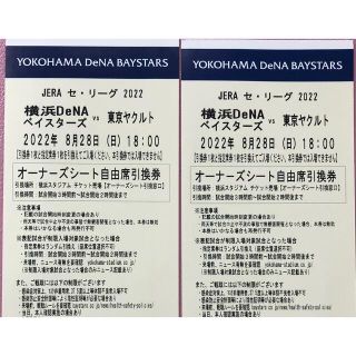 ヨコハマディーエヌエーベイスターズ(横浜DeNAベイスターズ)の横浜ベイスターズ　観戦ペアチケット(野球)