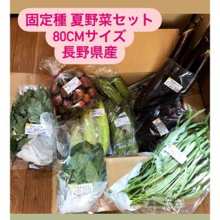 無農薬&固定種野菜セット★80cmサイズ★長野県産(野菜)