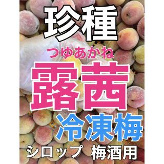 r016⚠️クール便【珍種】冷凍「露茜」1kg 梅酒 シロップ用  青梅(フルーツ)