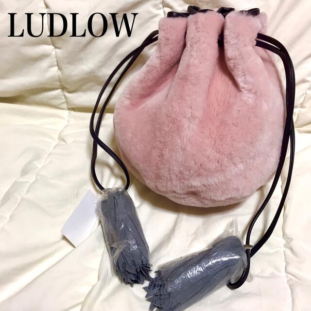 LUDLOW(ラドロー)の新品 未使用 LUDLOW ラドロー ファーバッグ 巾着 ショルダーバッグ レディースのバッグ(ショルダーバッグ)の商品写真