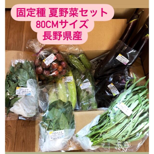 無農薬&固定種野菜セット★80cmサイズ★長野県産 食品/飲料/酒の食品(野菜)の商品写真