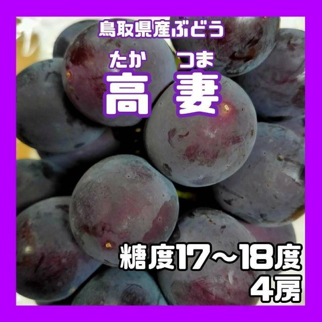 【鳥取県産】高妻　糖度17〜18度　4房　ぶどう　葡萄　ブドウ　クール便L内容量
