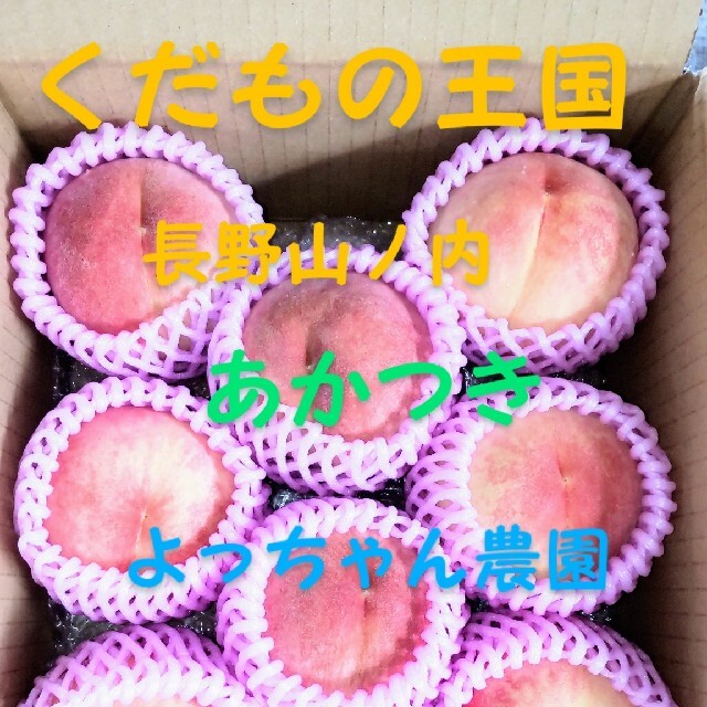 🍑ゆっさん様専用です🍑 食品/飲料/酒の食品(フルーツ)の商品写真