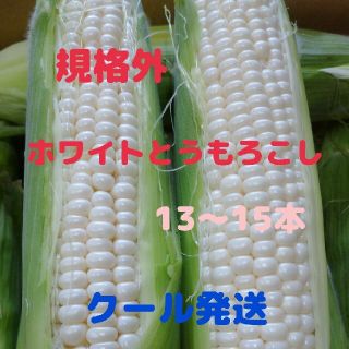 規格外ホワイトとうもろこし(13-15本)(野菜)