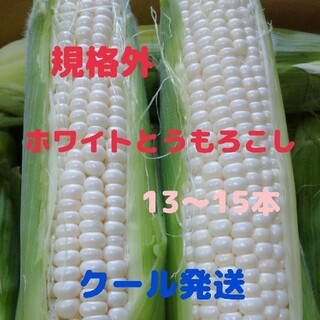 規格外ホワイトとうもろこし(13-15本)(野菜)