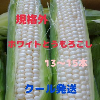 規格外ホワイトとうもろこし(13-15本)(野菜)