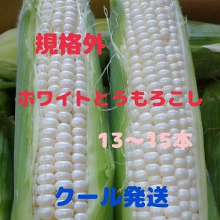 規格外ホワイトとうもろこし(13-15本)(野菜)