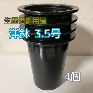 洋鉢 3.5号◎4個 プラ鉢 ブラック ハオルチア サボテン 多肉植物 深鉢(プランター)