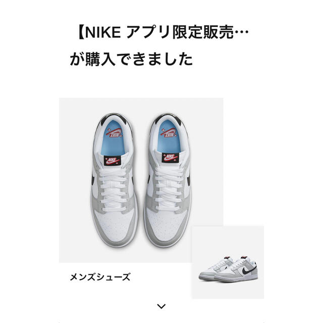 NIKE(ナイキ)の28.5㎝ Nike Dunk Low Lottery Grey Crimson メンズの靴/シューズ(スニーカー)の商品写真