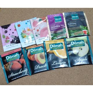 セイカツノキ(生活の木)の紅茶、ハーブティーティーバッグ9個★生活の木 Dilmah(茶)