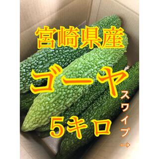 野菜　ゴーヤ　5キロ　宮崎県産(野菜)