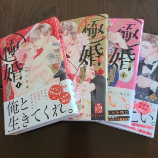 【値下げ中】極婚～超溺愛ヤクザとケイヤク結婚！？～１～4巻 桜井真優(少女漫画)