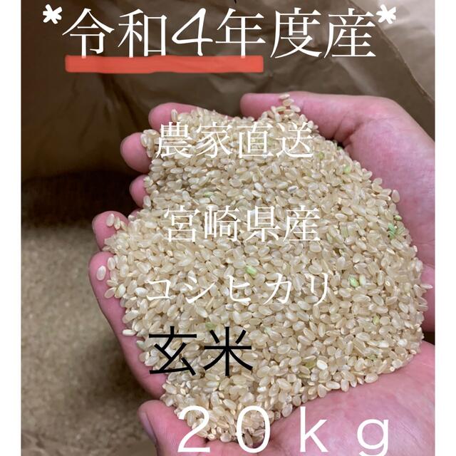 令和4年度産！！農家直送！玄米　２０ｋｇ食品