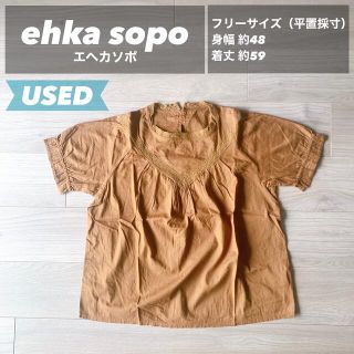 エヘカソポ(ehka sopo)の【美品】ehka sopo エヘカソポ　トップス　半袖ブラウス　フリーサイズ(シャツ/ブラウス(半袖/袖なし))