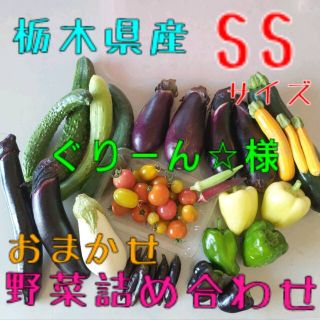 ぐりーん☆様★専用★野菜おまかせ詰め合わせBOX【SS】(野菜)