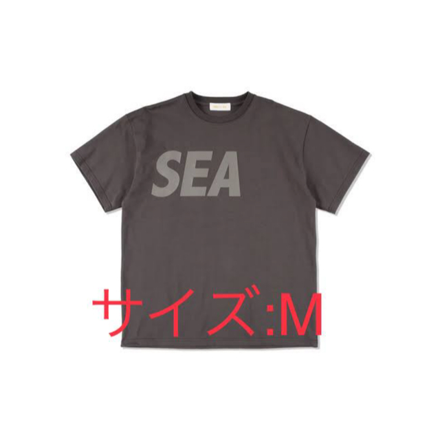 トップスWIND AND SEA Tシャツ