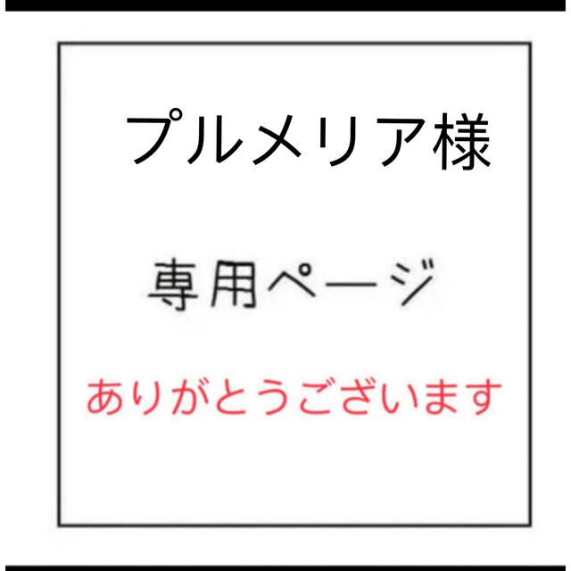 オンライン限定商品】 プルメリア様の専用ページ | yourmaximum.com