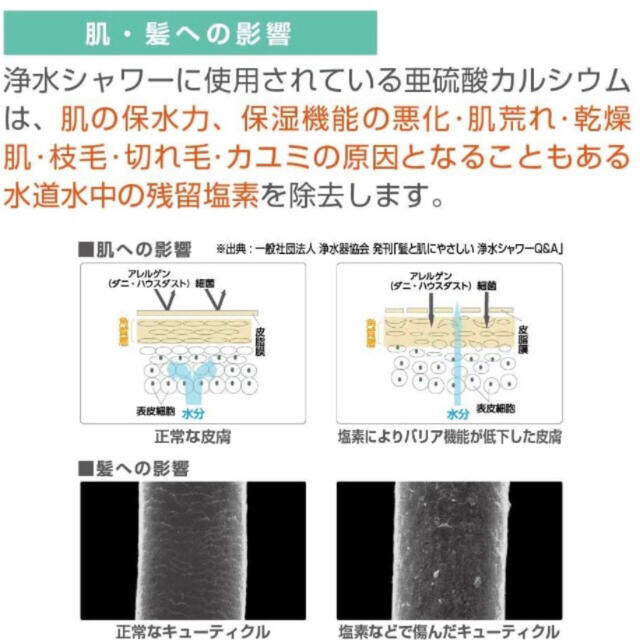 SANEI 浄水ファインバブルシャワーセット ウルトラファインバブル発生 5