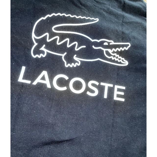 LACOSTE(ラコステ)のラコステ　ロンT レディースのトップス(Tシャツ(長袖/七分))の商品写真