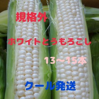 規格外ホワイトとうもろこし(13-15本)(野菜)