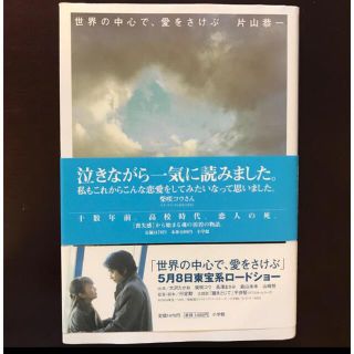 世界の中心で　愛をさけぶ(文学/小説)