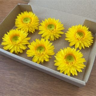 貝細工　ヘリクリサム　ドライフラワー　ひまわり　花材(ドライフラワー)