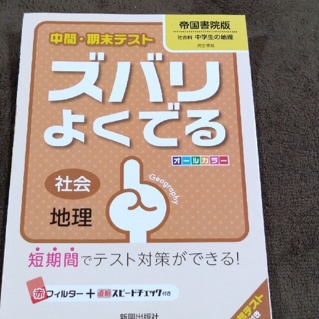 中間・期末テスト ズバリよくでる 社会・地理 エンタメ/ホビーの本(語学/参考書)の商品写真