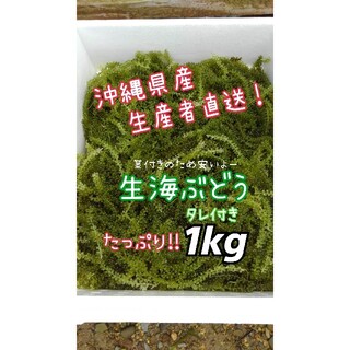沖縄県産 海ぶどう 茎付き1000ｇ“ 商品の説明⚠️必読⚠️(魚介)