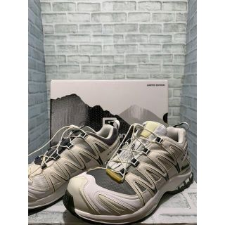 サロモン(SALOMON)の美品　SALOMON BEAMS別注　XA PRO 3D GTX GORETEX(スニーカー)