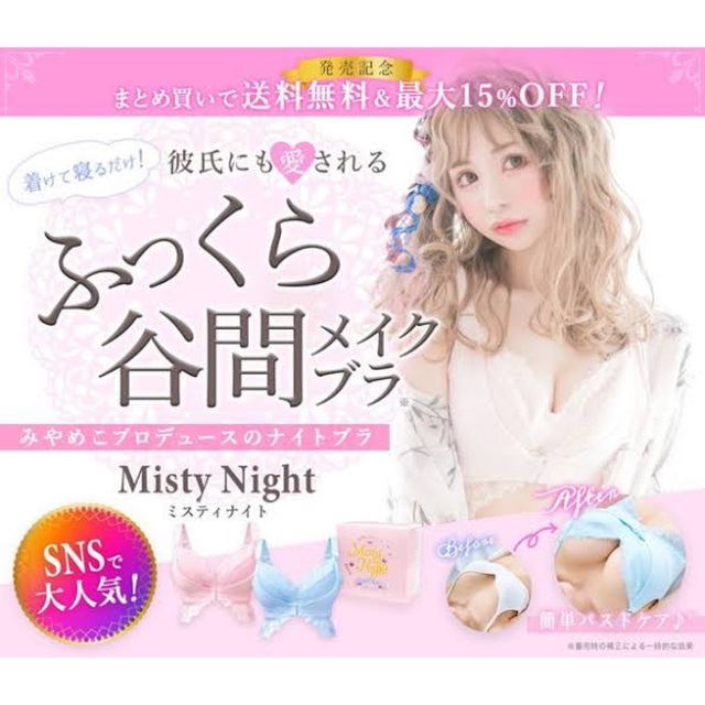 ミスティナイト  Misty Night  レディースの下着/アンダーウェア(ブラ)の商品写真