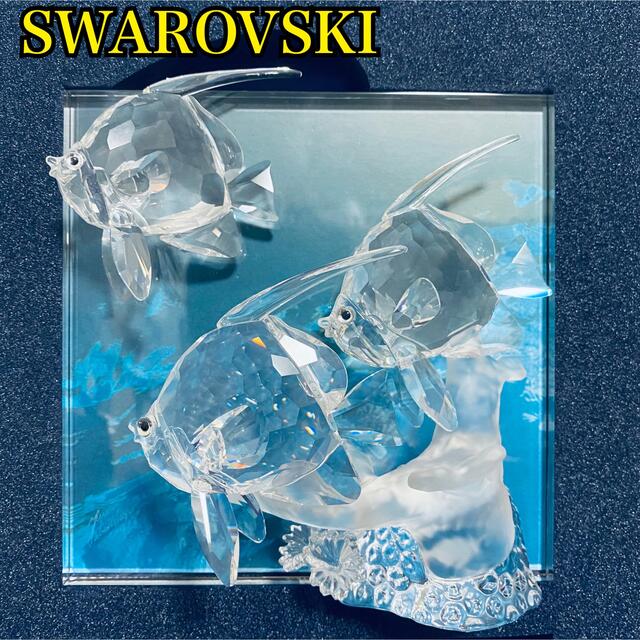 SWAROVSKI - 【入手困難】 スワロフスキー ワンダーオブザシー