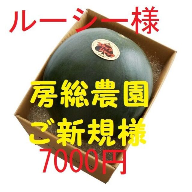 9③ルーシー様専用・ブラックジャック・9キロ～ 食品/飲料/酒の食品(フルーツ)の商品写真
