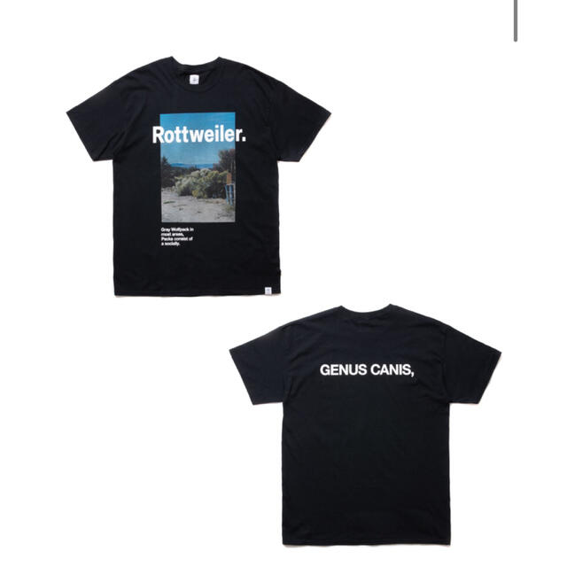 新品タグ付き　ROTTWEILLER   深水敬介氏フォトTシャツ