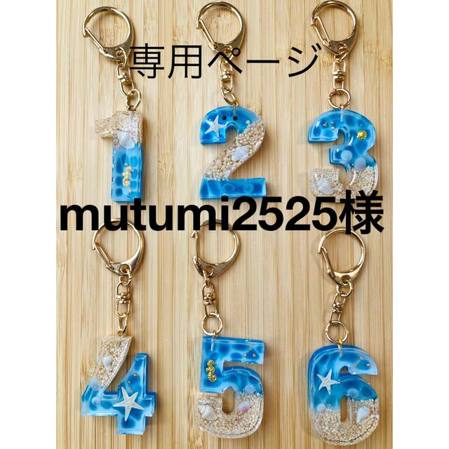 専用ページ mutumi2525様 ハンドメイドのアクセサリー(キーホルダー/ストラップ)の商品写真