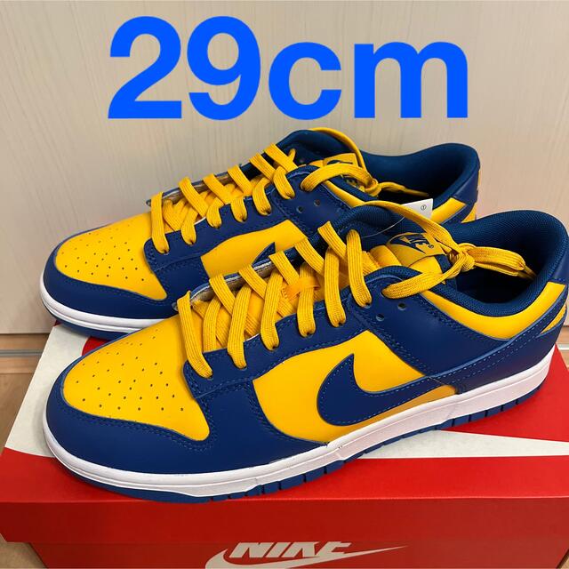 NIKE ダンク LOW 29cm