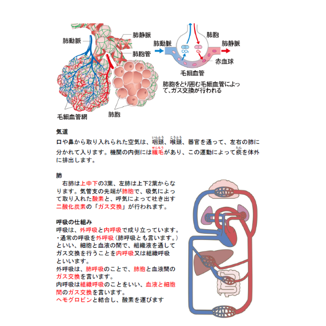 ●第一種衛生管理者　(スマホ学習データ付き）