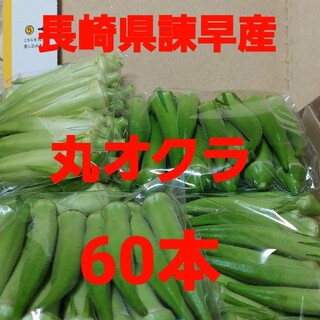 長崎県諫早産丸オクラ60本(野菜)