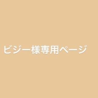 ビジー様専用ページ(アイドルグッズ)