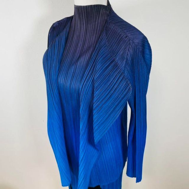 PLEATS PLEASE ISSEY MIYAKE(プリーツプリーズイッセイミヤケ)の激レア 2点 セットアップ プリーツプリーズ イッセイミヤケ  家 夜空 レディースのワンピース(ロングワンピース/マキシワンピース)の商品写真