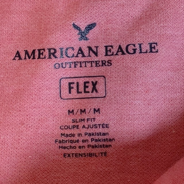 American Eagle(アメリカンイーグル)の処分品‼️👕アメリカンイーグルポロシャツ👕 メンズのトップス(ポロシャツ)の商品写真