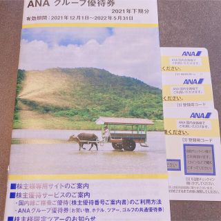 エーエヌエー(ゼンニッポンクウユ)(ANA(全日本空輸))のANA株主優待券3枚✨24時間以内発送可✨(その他)