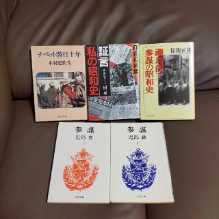チベット潜航10年　1冊(その他)