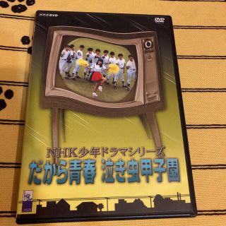 だから青春 泣き虫甲子園 DVD 森尾由美 豊原功補(TVドラマ)