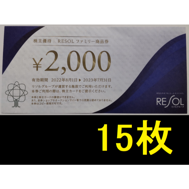 100%品質保証 リソルグループ 株主優待券2万円分 - www.gorgas.gob.pa